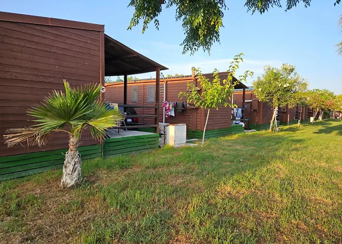 Bungalows Park Albufera