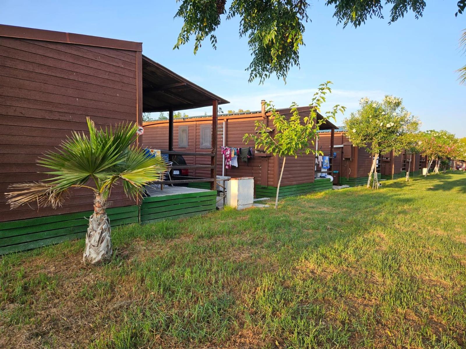 Park Albufera