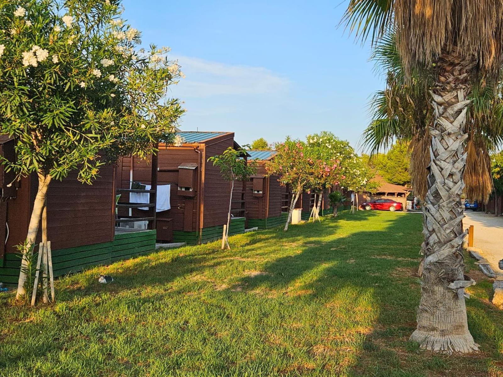 Parque de Campismo Park Albufera