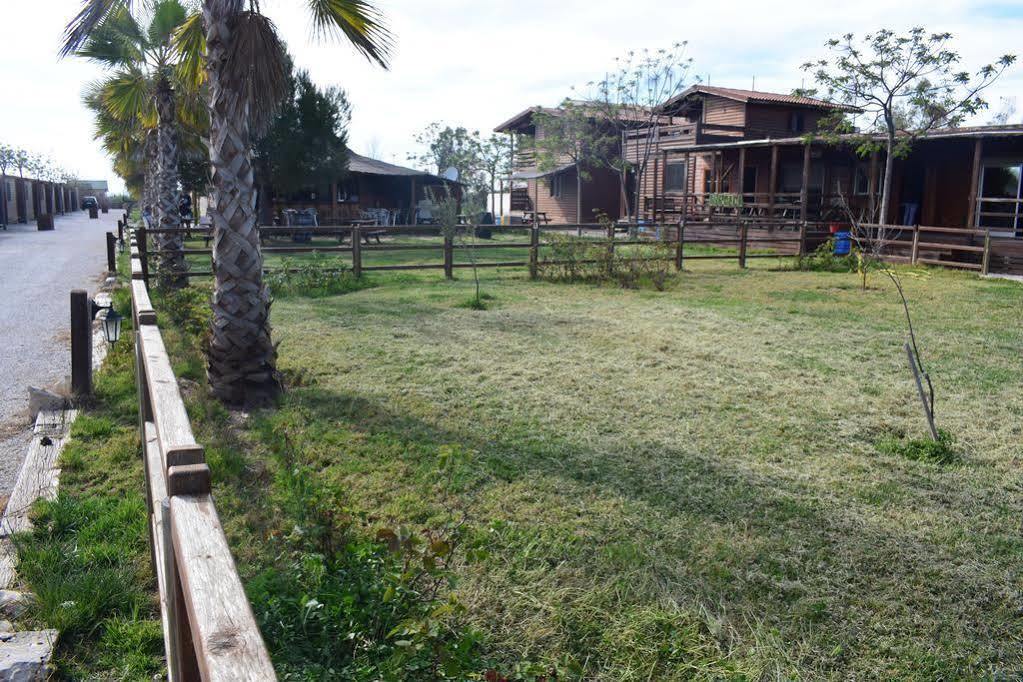 Park Albufera
