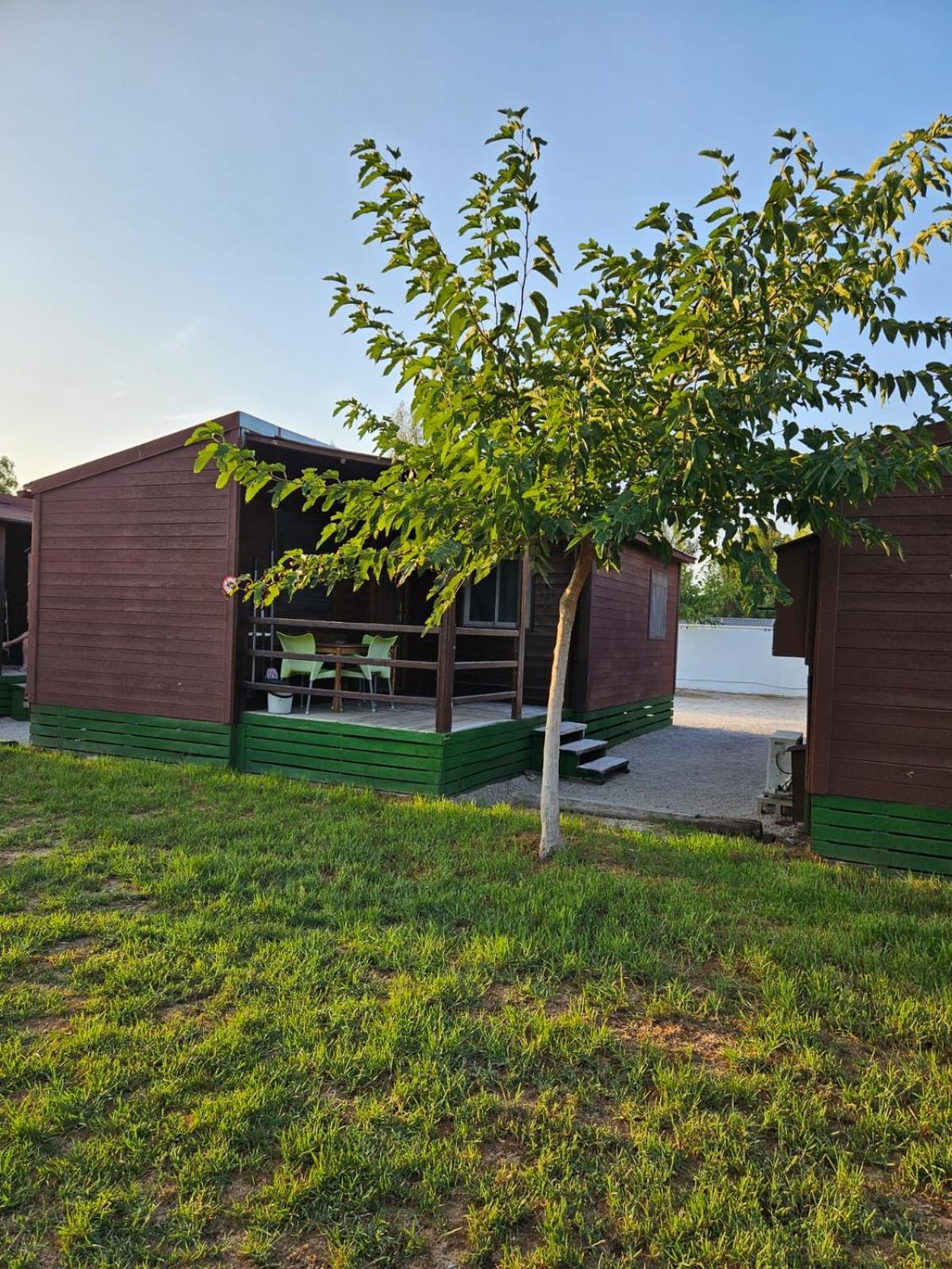 Park Albufera Campsite