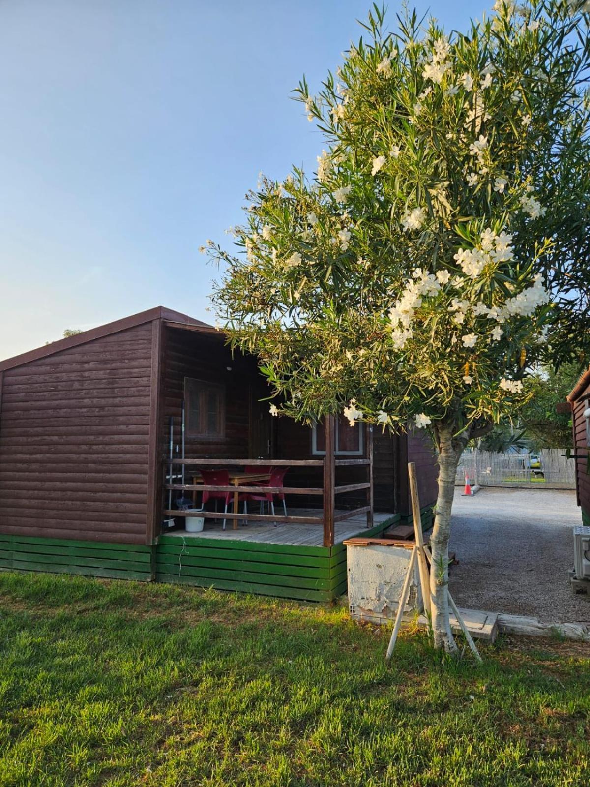 Park Albufera Campsite 2*